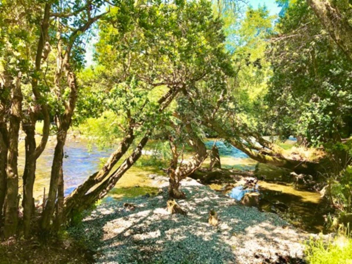Elementos Eco Lodge Пукон Экстерьер фото