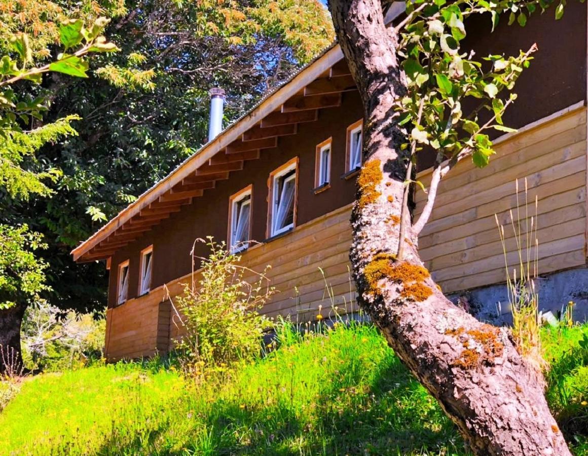 Elementos Eco Lodge Пукон Экстерьер фото